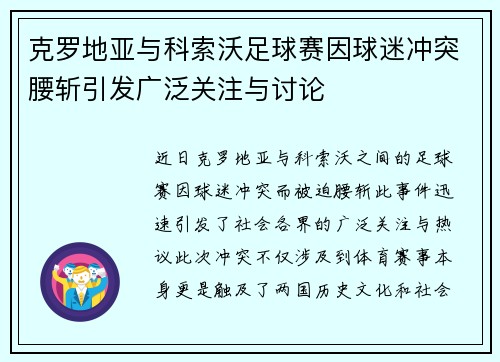 克罗地亚与科索沃足球赛因球迷冲突腰斩引发广泛关注与讨论